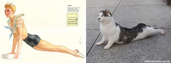 cats-that-look-like-pin-up-girls-19