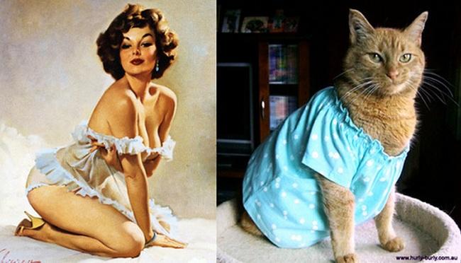 cats-that-look-like-pin-up-girls-25