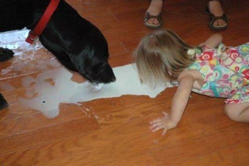 Funny Pic Dump (9)