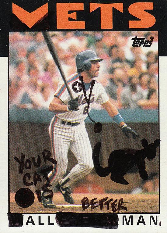 Baseball Card Vandals (11)