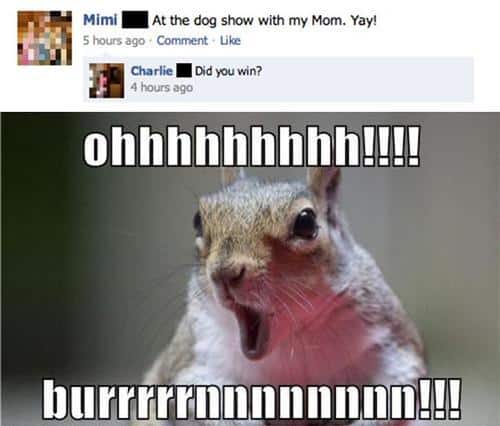 Funny Pic Dump (7)