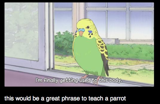 Funny Pic Dump (8)