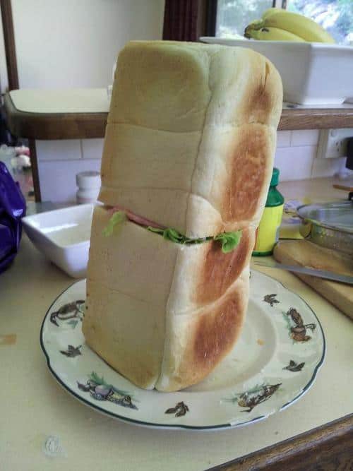 Funny Pic Dump (12)