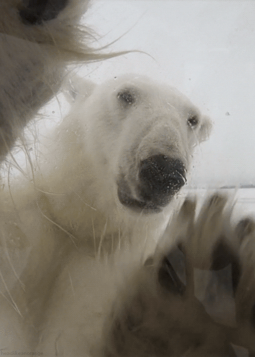 Awesome Animated GIFs (17)