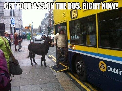 Funny Pic Dump (8)