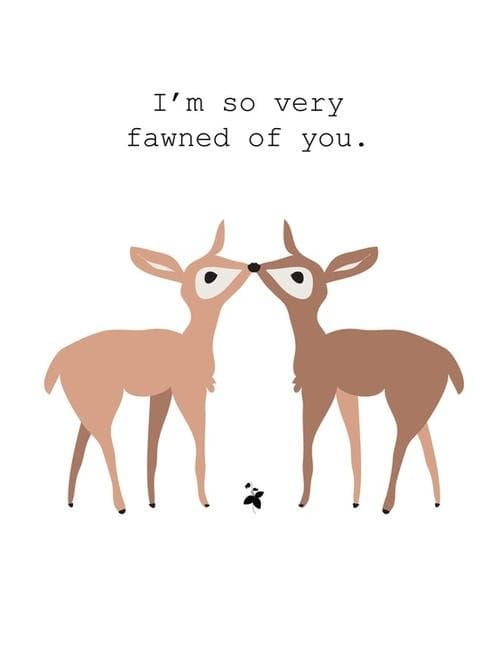 Funny Pic Dump (13)