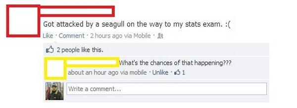 Funny Pic Dump (10)