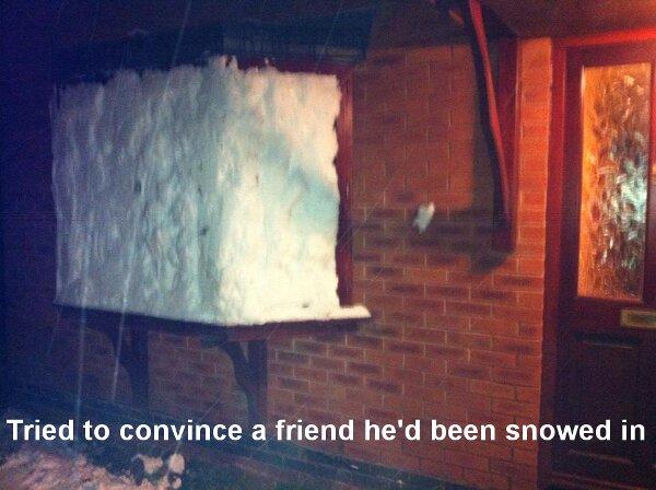 Funny Pic Dump (6)