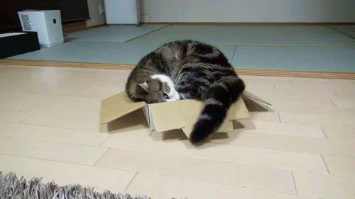 Awesome Animated GIFs (12)