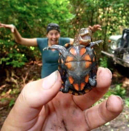 Funny Pic Dump (11)