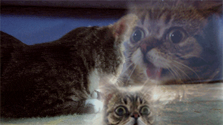 Awesome Animated GIFs (2)