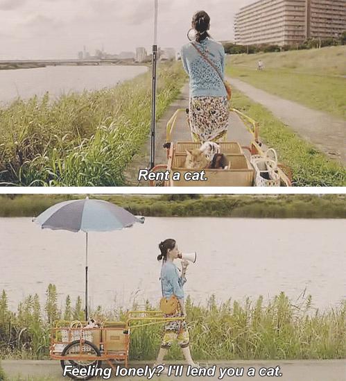 Funny Screencaps (16)
