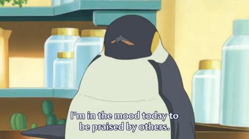 Funny Pic Dump (16)