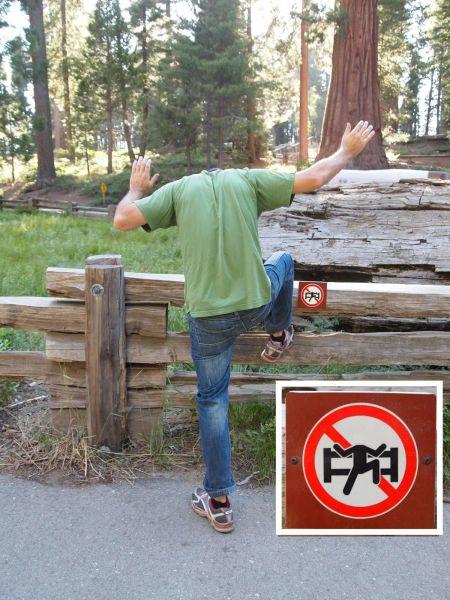 First World Anarchists (2)