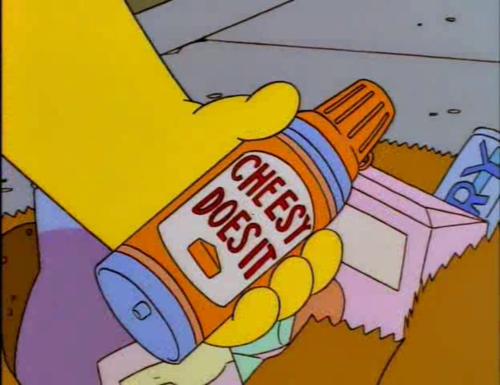 Funny Simpsons Products (12)