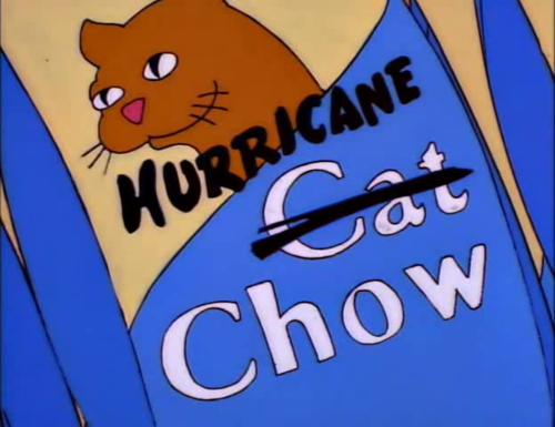 Funny Simpsons Products (16)