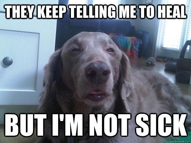 best of the really high dog meme (16 pics) pleated jeans 3stlzt best of the really high dog meme (16 pics) pleated jeans