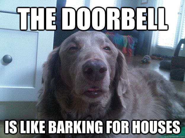 Really High Dog Meme (10)