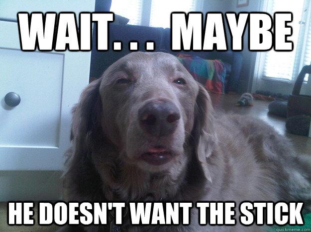 Really High Dog Meme (12)