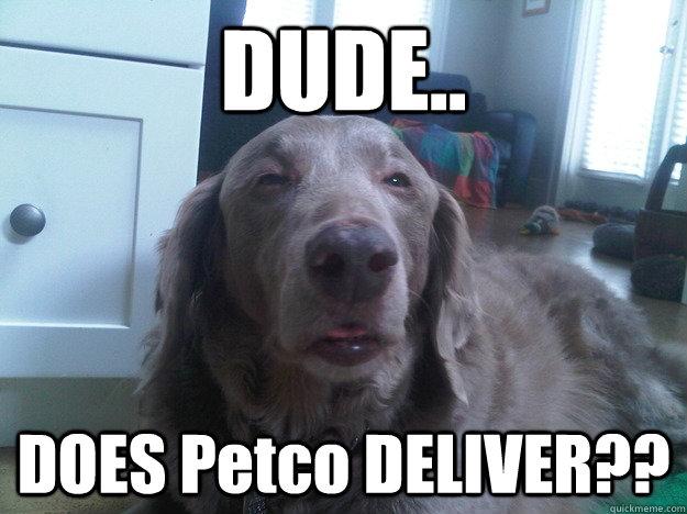 Really High Dog Meme (14)