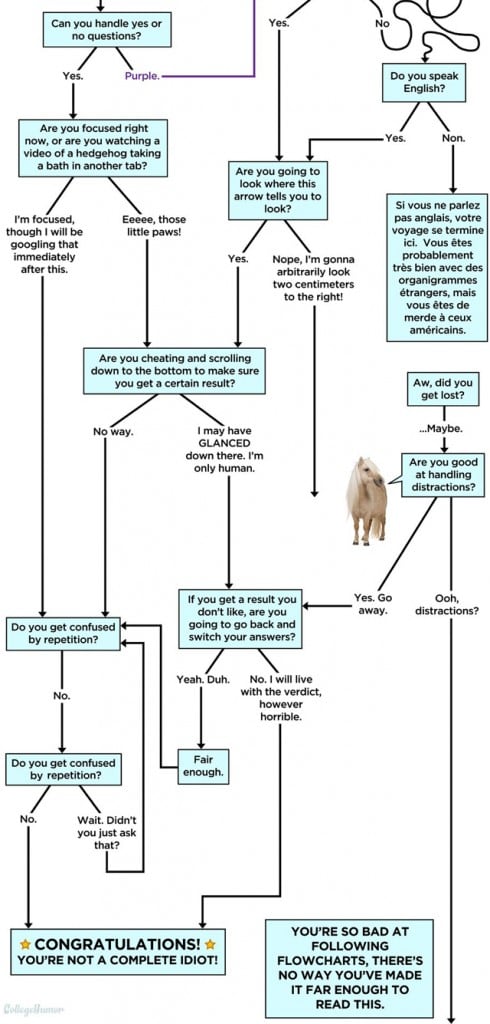 Are-you-good-at-following-a-flowchart2
