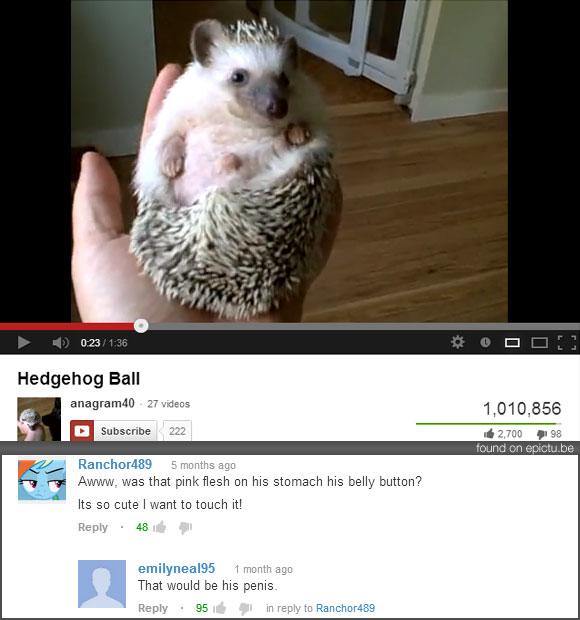 Funny Youtube Comments (4)