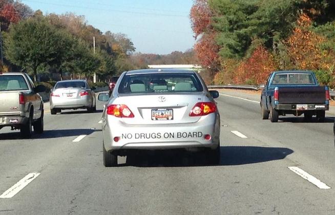 Genius or Stupid (15)