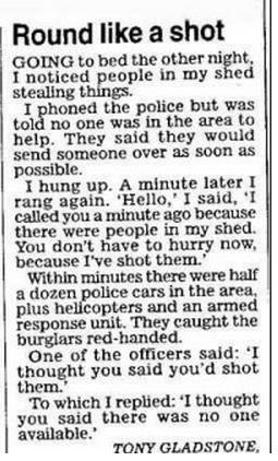 Genius or Stupid (16)