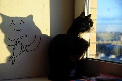 Funny Pic Dump (3)