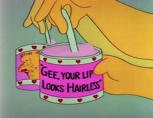 Funny Simpsons Products (26)