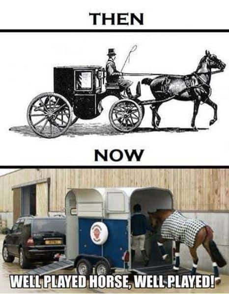 Funny Pic Dump (11)