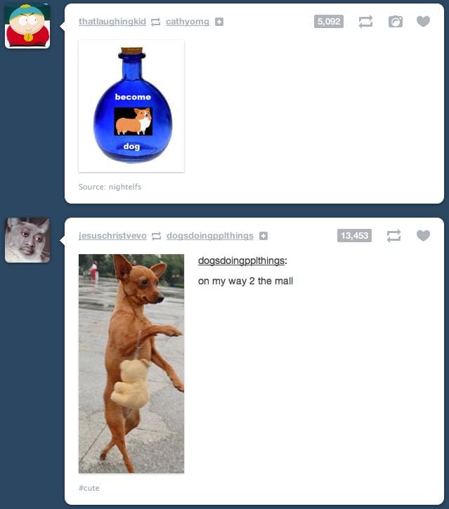 Funny Tumblr Coincidences (7)