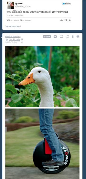 Funny Tumblr Coincidences (14)
