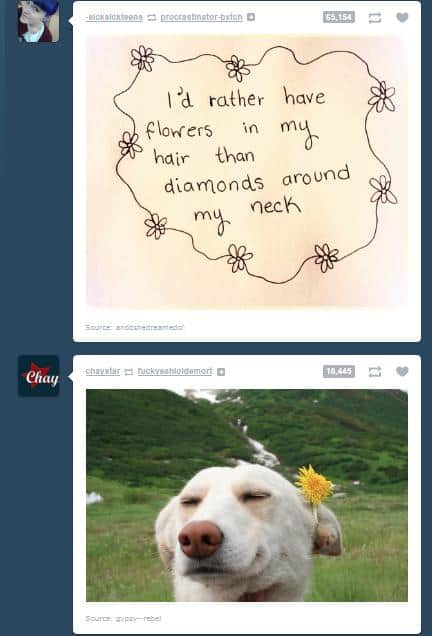 Funny Tumblr Coincidences (18)
