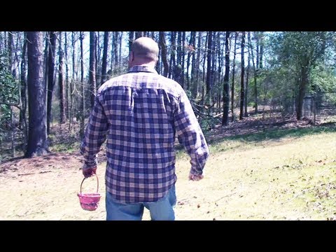 Angry Dad Reluctantly Goes Easter Egg Hunting