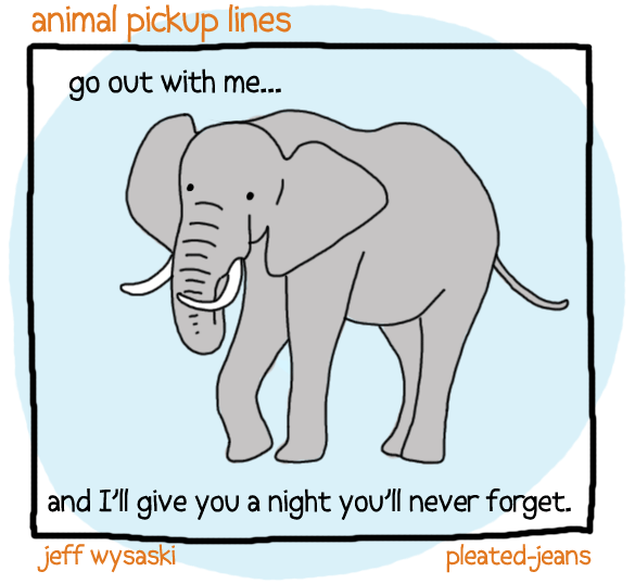 round 2 animal pickup