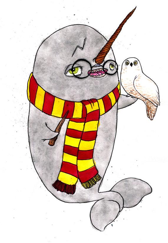 narwhal pop it