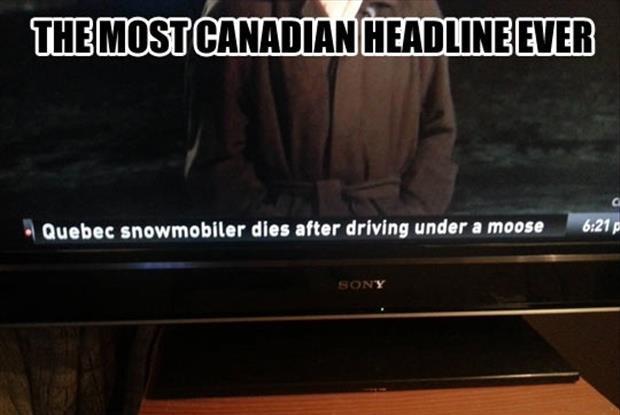funny-headlines-canada-1.jpg