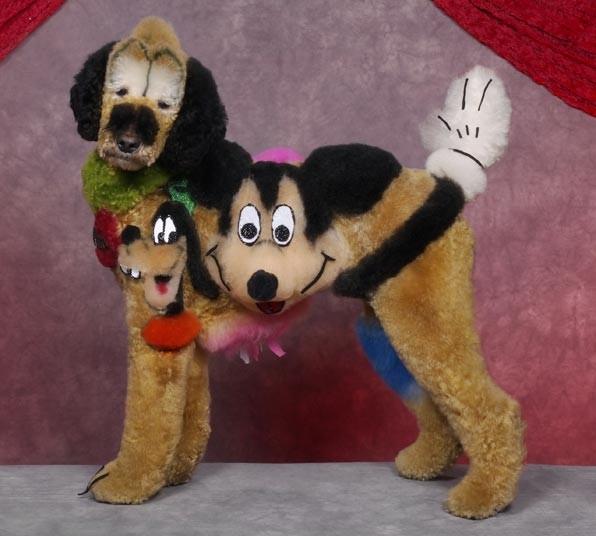 dogs that look like stuffed animals
