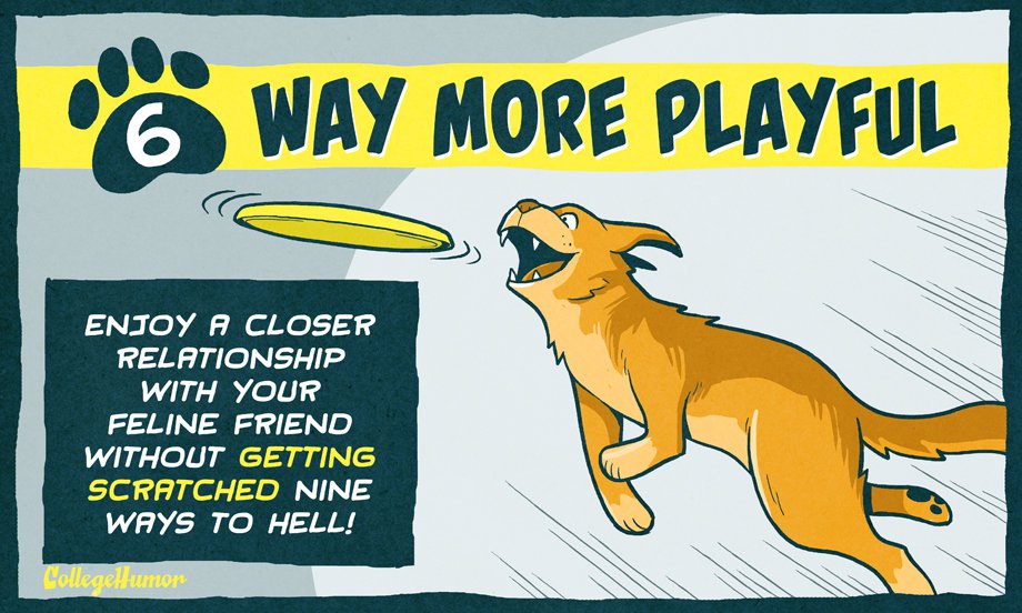 more than 100 ways to improve your college luck ebook 10 ways to make cats even better than they already are more than 100 ways to improve your college luck ebook 10 ways to make cats even better than they already are