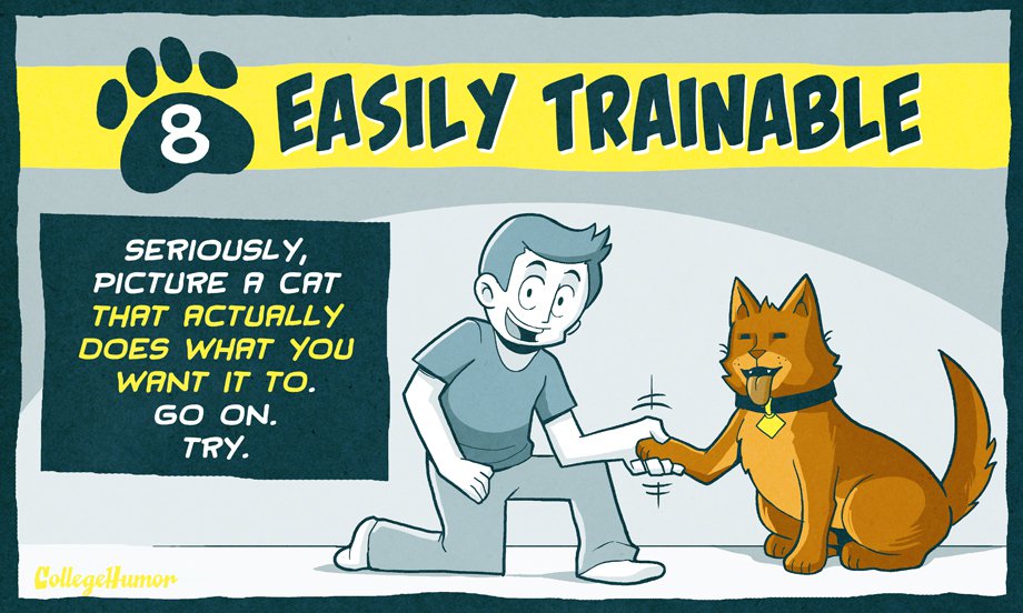 more than 100 ways to improve your college luck ebook 10 ways to make cats even better than they already are more than 100 ways to improve your college luck ebook 10 ways to make cats even better than they already are