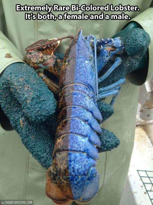 19 Things That Actually Exist