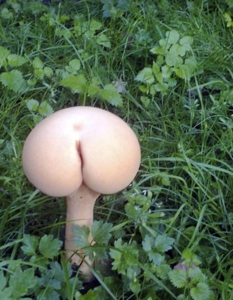 dirtymind.jpg