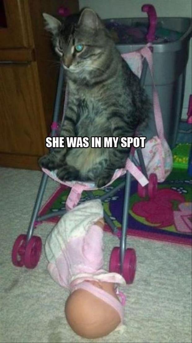 in-my-spot-1.jpg