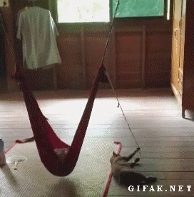 tumblr_mtokzps6va1s2yegdo1_400.gif