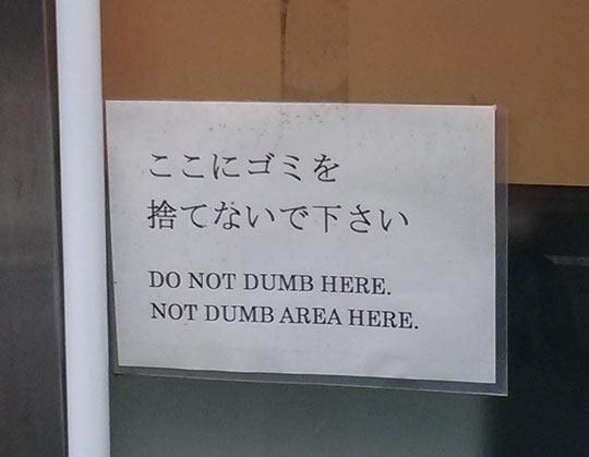 funny-Japanese-sign-dumb-1.jpg
