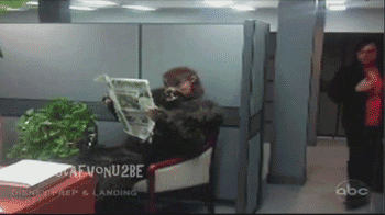 overgifs.gif