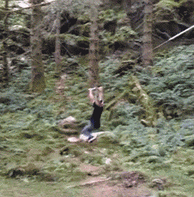 sd1ld.gif