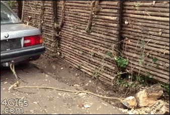 tumblr_mv3vjmKf7G1qdlh1io1_400.gif