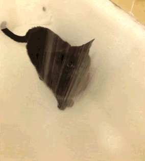 misterjakes.gif
